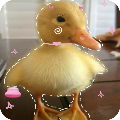 🎀 Стикер «Pookie» для Telegram