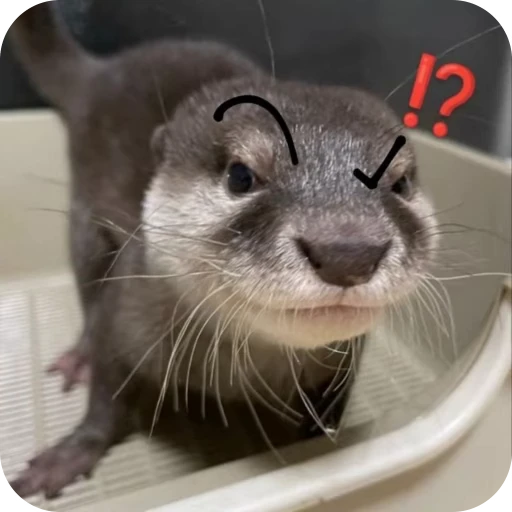🎀 Стикер «Pookie» для Telegram