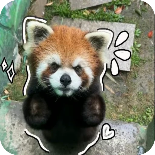 🎀 Стикер «Pookie» для Telegram
