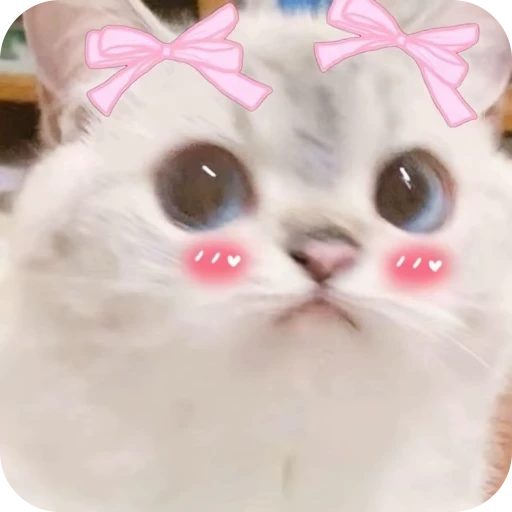 🎀 Стикер «Pookie» для Telegram
