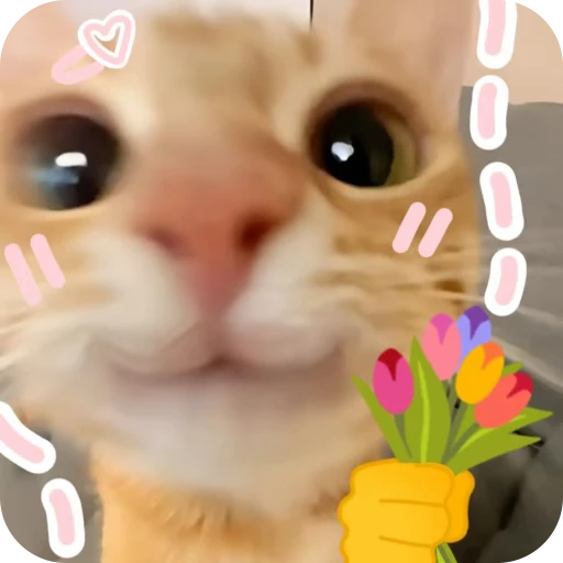 🎀 Стикер «Pookie» для Telegram