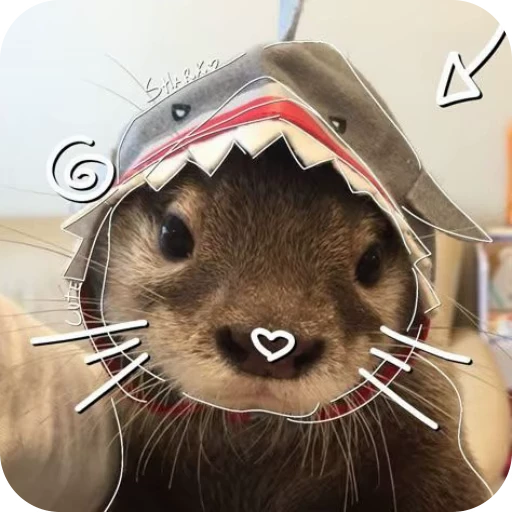 🎀 Стикер «Pookie» для Telegram