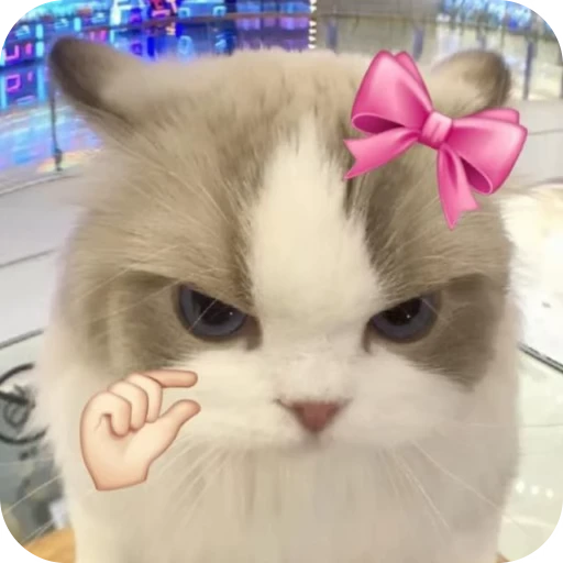 🎀 Стикер «Pookie» для Telegram