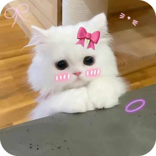 🎀 Стикер «Pookie» для Telegram
