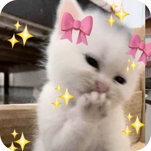 🎀 Стикер «Pookie» для Telegram