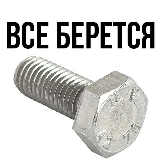 🤣 Стикер «где задние ремни» для Telegram