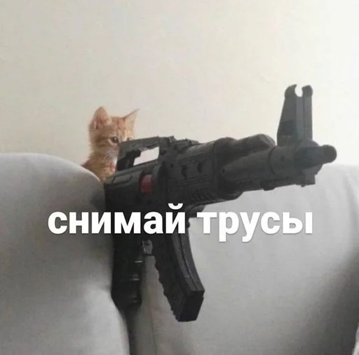 😜 Стикер «kitten love» для Telegram