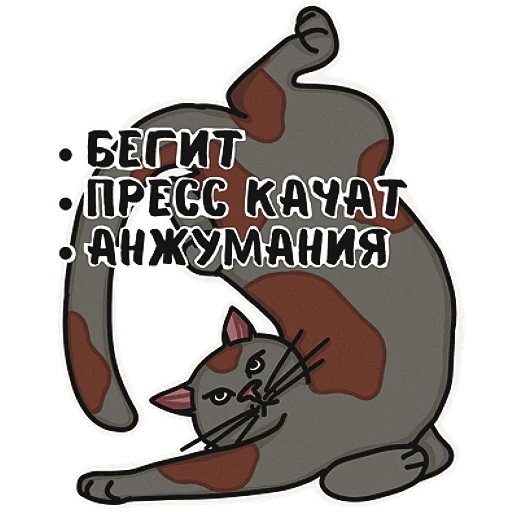 💪 Стикер «Котеечная» для Telegram