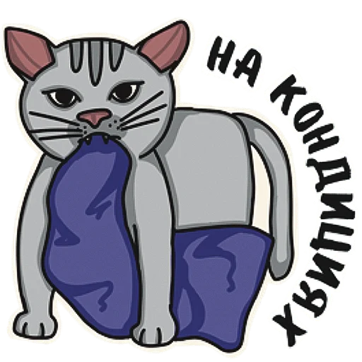 💪 Стикер «Котеечная» для Telegram