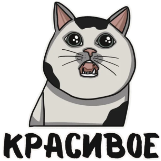 😃 Стикер «Котеечная» для Telegram
