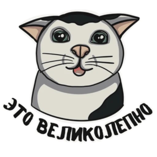 🤩 Стикер «Котеечная» для Telegram