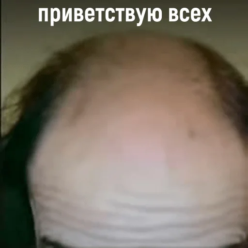 ♟ Стикер «Гельман атакует» для Telegram