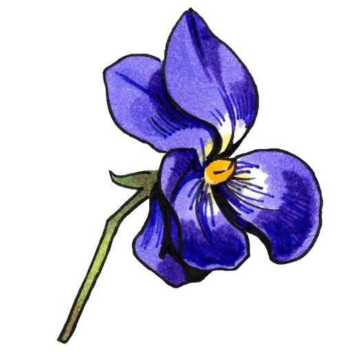 🌸 Стикер «Генадий» для Telegram