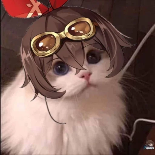 😀 Стикер «Genshin Impact Дмитрий» для Telegram
