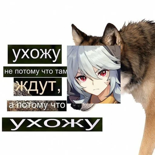 🐺 Стикер «genshin memepact» для Telegram