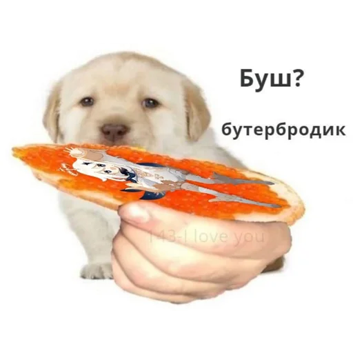 🥪 Стикер «genshin memepact» для Telegram