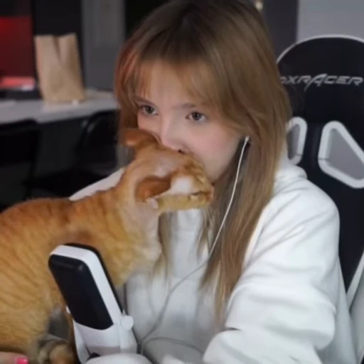 😺 Стикер «GENSYXA» для Telegram
