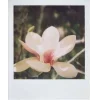 🤩 Эмодзи «gently» для Telegram