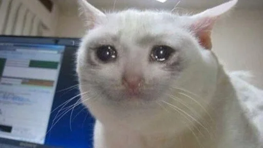 😢 Стикер «мяу мяу» для Telegram
