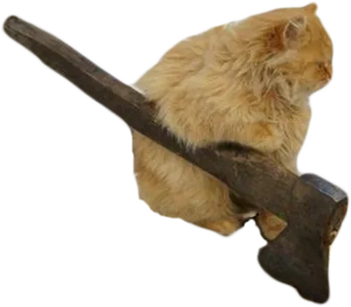 🔨 Стикер «мяу мяу» для Telegram