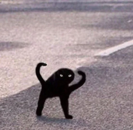 👹 Стикер «мяу мяу» для Telegram