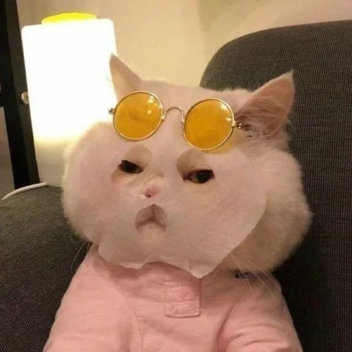 😐 Стикер «мяу мяу» для Telegram