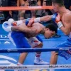 Стикер 33 💪 Набор эмоджи с боксёром «Gervonta Davis Джервонта Дэвис»
