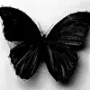 Стикер 33 Monochrome #colors #black #style