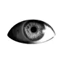 Стикер 5 Monochrome #colors #black #style