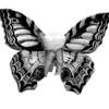Стикер 15 Monochrome #colors #black #style