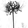 Стикер 29 Monochrome #colors #black #style