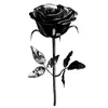 Стикер 23 Monochrome #colors #black #style