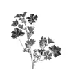 Стикер 14 Monochrome #colors #black #style