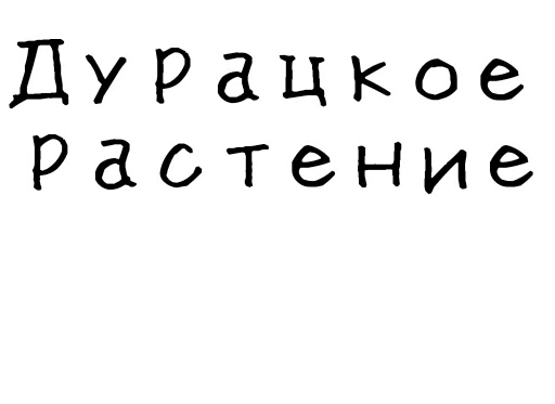 🌵 Стикер «Гнилые стикеры» для Telegram