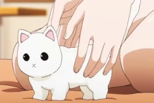 🐈 Стикер «GIF.webm» для Telegram