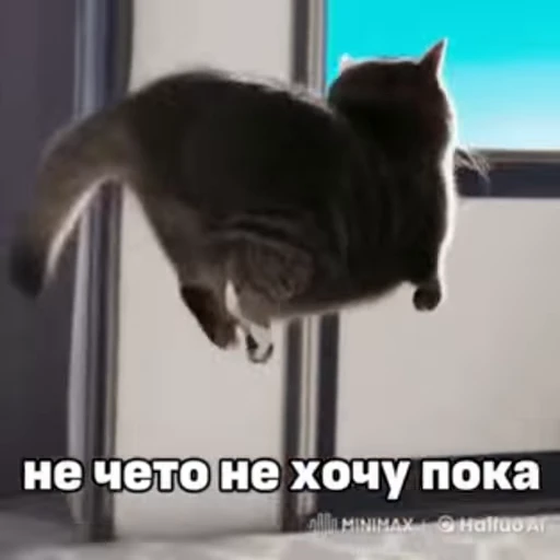 🙅 Стикер «GIF.webm» для Telegram