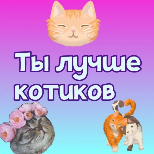🐱 Стикер «Ты лучше, чем...» для Telegram