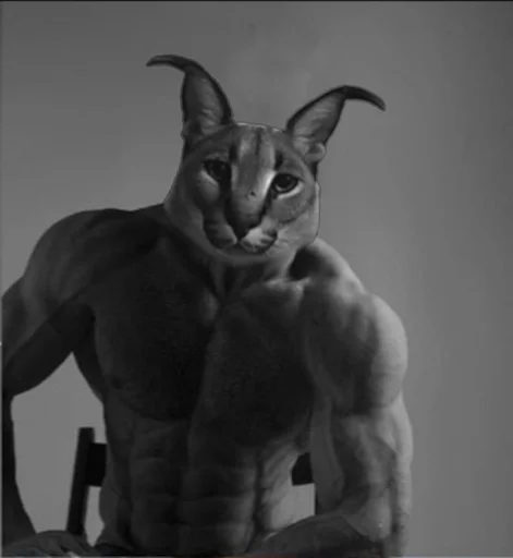 🐱 Стикер «giga chad» для Telegram