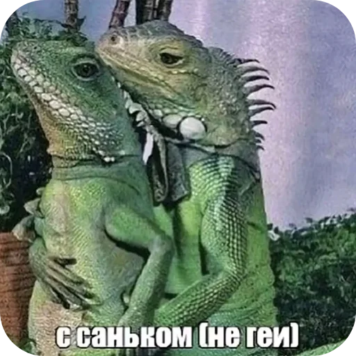 👏 Стикер «Гига и т.д» для Telegram
