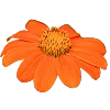 👩‍🦰 Эмодзи «Ginger» для Telegram