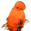 👩‍🦰 Эмодзи «Ginger» для Telegram