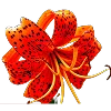 Стикерпак Ginger для Telegram