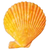 👩‍🦰 Эмодзи «Ginger» для Telegram