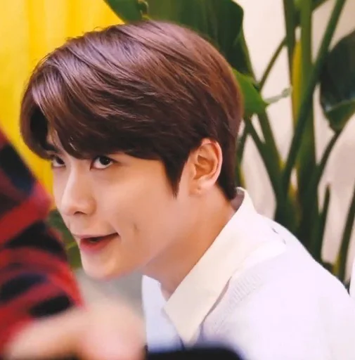 👾 Стикер «GIO and JAEHYUN MEME» для Telegram