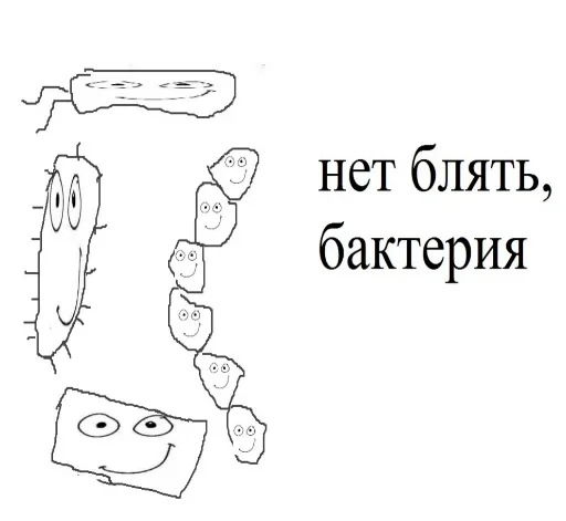 🦠 Стикер «Название украли цыгане» для Telegram