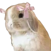 🐰 Эмодзи «girl» для Telegram