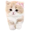🐈 Эмодзи «girl» для Telegram