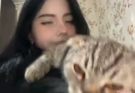 😻 Стикер «Girls Part 2» для Telegram