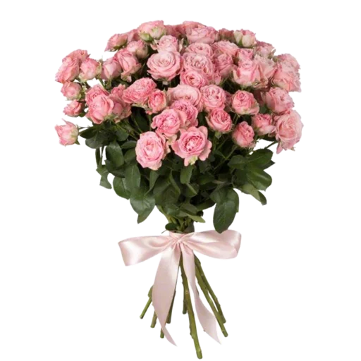 🌹 Стикер «girly aesthetic» для Telegram