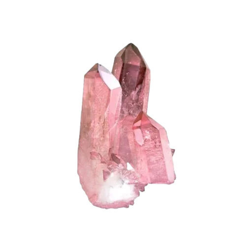 🐚 Стикер «girly aesthetic» для Telegram